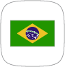 Português brasileiro